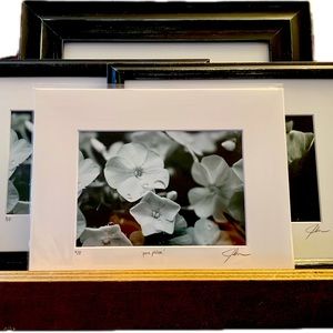 ‘Pure Phlox’ - limited edition prints - 5x7 matted, signed and ready to frame.